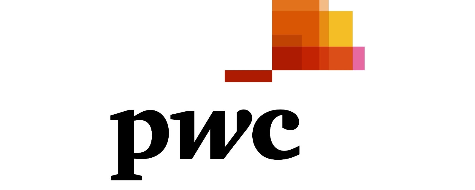 referenzen-info-gmbh_pwc pricewaterhouse coopers