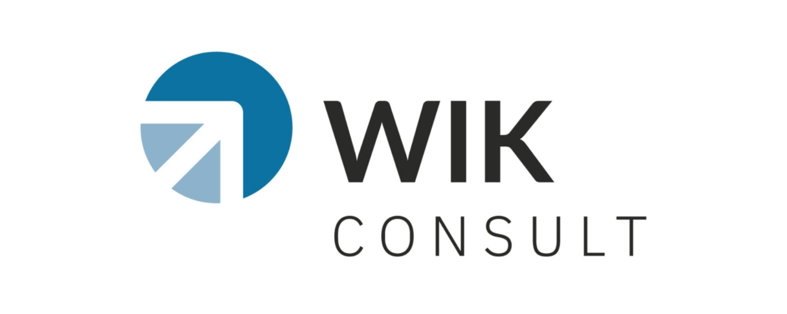 referenzen-info-gmbh_wik consult
