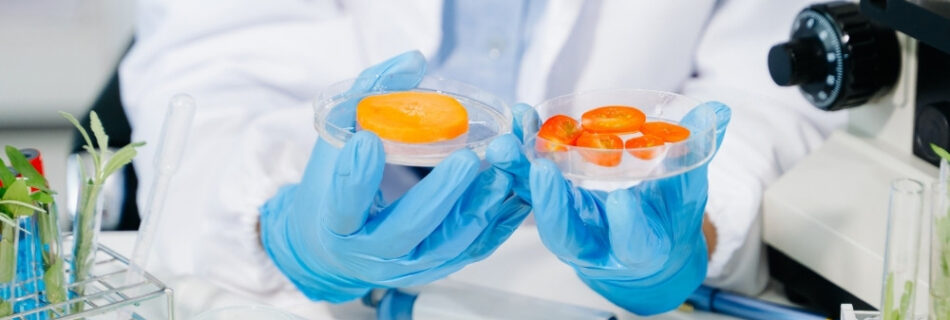 eine person erforscht lebensmittel in einem labor zur bfr sudie 2025 zum gesundheitlichen verbraucherschutz